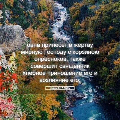 Picture 05 - Числа 6:17 RUSV - овна принесет в жертву - Bible Verse Picture