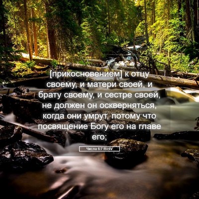 Picture 05 - Числа 6:7 RUSV - [прикосновением] к отцу - Bible Verse Picture