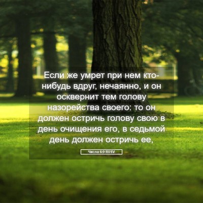 Picture 05 - Числа 6:9 RUSV - Если же умрет при нем - Bible Verse Picture
