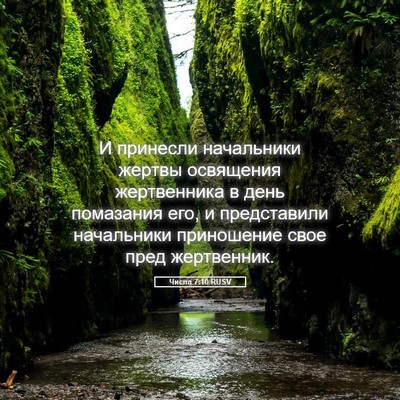 Picture 05 - Числа 7:10 RUSV - И принесли начальники - Bible Verse Picture