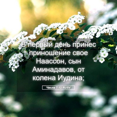 Picture 05 - Числа 7:12 RUSV - В первый день принес - Bible Verse Picture