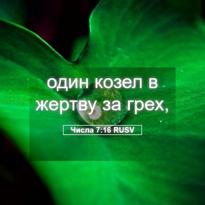 Picture 05 - Числа 7:16 RUSV - один козел в жертву за - Bible Verse Picture