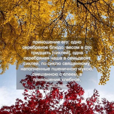Picture 05 - Числа 7:25 RUSV - приношение его: одно - Bible Verse Picture