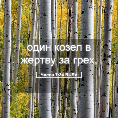 Picture 05 - Числа 7:34 RUSV - один козел в жертву за - Bible Verse Picture