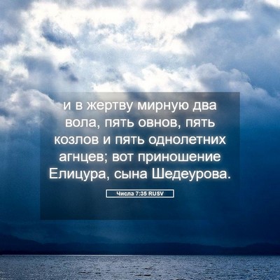 Picture 05 - Числа 7:35 RUSV - и в жертву мирную два вола, - Bible Verse Picture