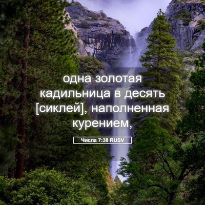 Picture 05 - Числа 7:38 RUSV - одна золотая кадильница в - Bible Verse Picture