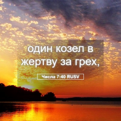 Picture 05 - Числа 7:40 RUSV - один козел в жертву за - Bible Verse Picture