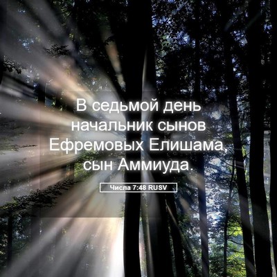 Picture 05 - Числа 7:48 RUSV - В седьмой день начальник - Bible Verse Picture