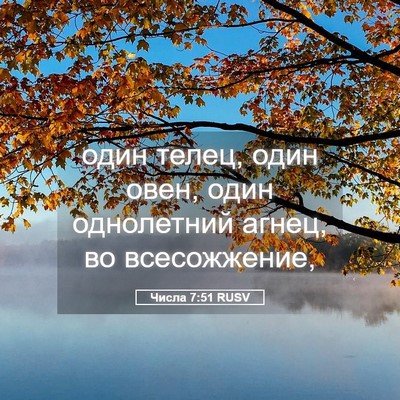 Picture 05 - Числа 7:51 RUSV - один телец, один овен, один - Bible Verse Picture