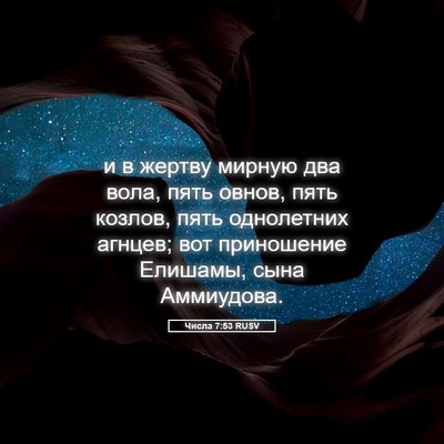 Picture 05 - Числа 7:53 RUSV - и в жертву мирную два вола, - Bible Verse Picture