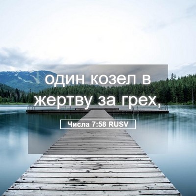 Picture 05 - Числа 7:58 RUSV - один козел в жертву за - Bible Verse Picture