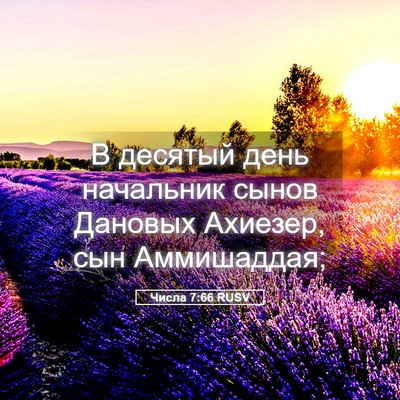 Picture 05 - Числа 7:66 RUSV - В десятый день начальник - Bible Verse Picture