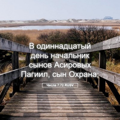 Picture 05 - Числа 7:72 RUSV - В одиннадцатый день - Bible Verse Picture