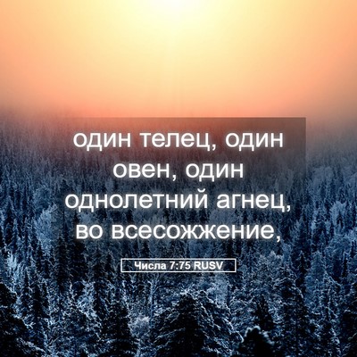 Picture 05 - Числа 7:75 RUSV - один телец, один овен, один - Bible Verse Picture
