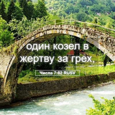 Picture 05 - Числа 7:82 RUSV - один козел в жертву за - Bible Verse Picture