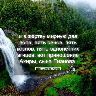 Picture 05 - Числа 7:83 RUSV - и в жертву мирную два вола, - Bible Verse Picture