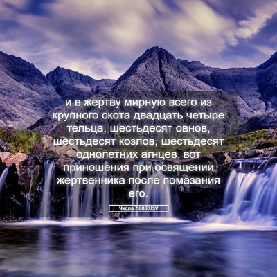 Picture 05 - Числа 7:88 RUSV - и в жертву мирную всего из - Bible Verse Picture