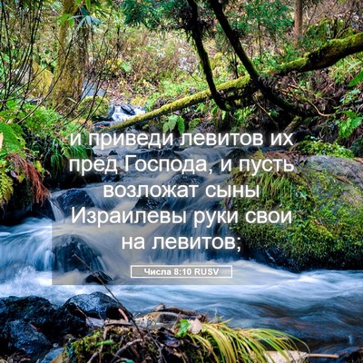 Picture 05 - Числа 8:10 RUSV - и приведи левитов их пред - Bible Verse Picture