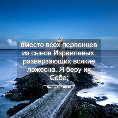 Picture 05 - Числа 8:16 RUSV - вместо всех первенцев из - Bible Verse Picture