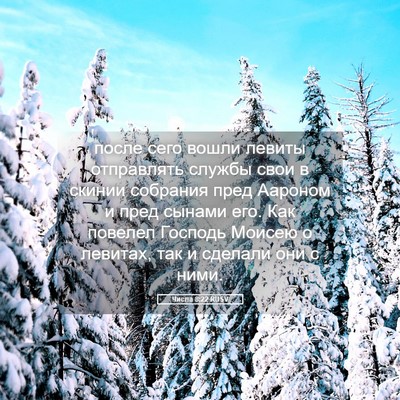 Picture 05 - Числа 8:22 RUSV - после сего вошли левиты - Bible Verse Picture