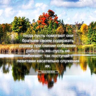 Picture 05 - Числа 8:26 RUSV - тогда пусть помогают они - Bible Verse Picture