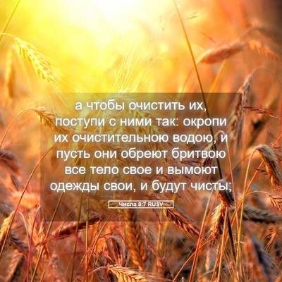 Picture 05 - Числа 8:7 RUSV - а чтобы очистить их, - Bible Verse Picture
