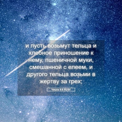 Picture 05 - Числа 8:8 RUSV - и пусть возьмут тельца и - Bible Verse Picture
