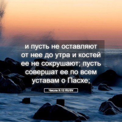 Picture 05 - Числа 9:12 RUSV - и пусть не оставляют от нее - Bible Verse Picture