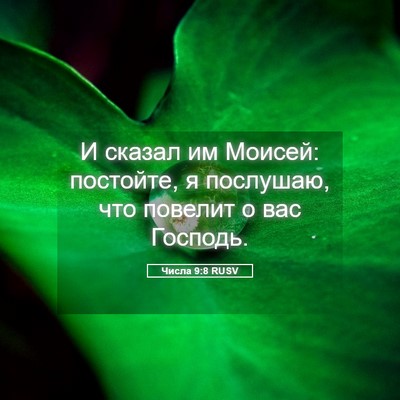 Picture 05 - Числа 9:8 RUSV - И сказал им Моисей: - Bible Verse Picture