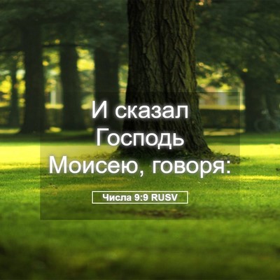 Picture 05 - Числа 9:9 RUSV - И сказал Господь Моисею, - Bible Verse Picture