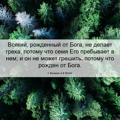 Picture 06 - 1 Иоанна 3:9 RUSV - Всякий, рожденный от Бога, - Bible Verse Picture