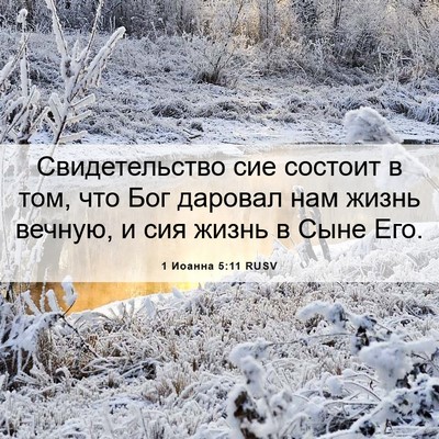Picture 06 - 1 Иоанна 5:11 RUSV - Свидетельство сие состоит - Bible Verse Picture