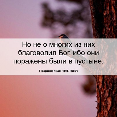 Picture 06 - 1 Коринфянам 10:5 RUSV - Но не о многих из них - Bible Verse Picture