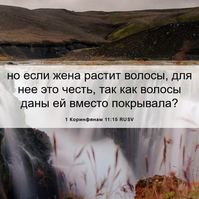 Picture 06 - 1 Коринфянам 11:15 RUSV - но если жена растит волосы, - Bible Verse Picture