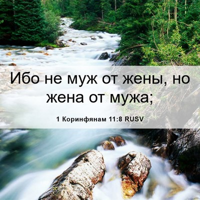 Picture 06 - 1 Коринфянам 11:8 RUSV - Ибо не муж от жены, но жена - Bible Verse Picture