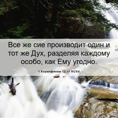Picture 06 - 1 Коринфянам 12:11 RUSV - Все же сие производит один - Bible Verse Picture