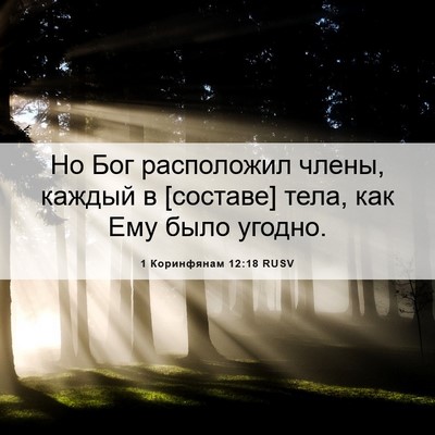Picture 06 - 1 Коринфянам 12:18 RUSV - Но Бог расположил члены, - Bible Verse Picture