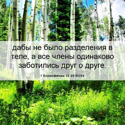 Picture 06 - 1 Коринфянам 12:25 RUSV - дабы не было разделения в - Bible Verse Picture