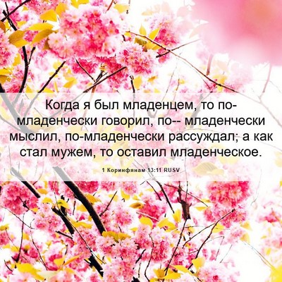 Picture 06 - 1 Коринфянам 13:11 RUSV - Когда я был младенцем, то - Bible Verse Picture