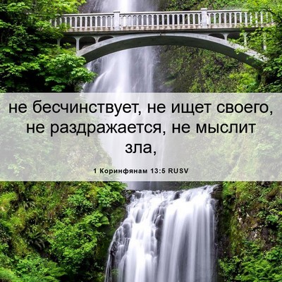 Picture 06 - 1 Коринфянам 13:5 RUSV - не бесчинствует, не ищет - Bible Verse Picture