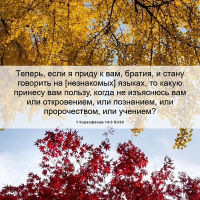 Picture 06 - 1 Коринфянам 14:6 RUSV - Теперь, если я приду к вам, - Bible Verse Picture