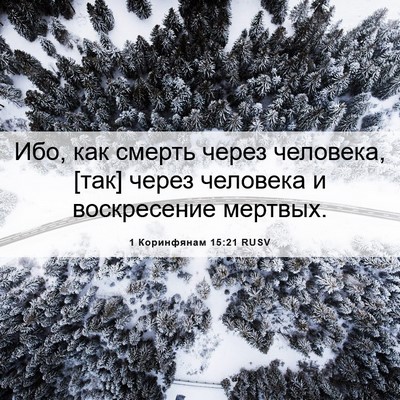 Picture 06 - 1 Коринфянам 15:21 RUSV - Ибо, как смерть через - Bible Verse Picture