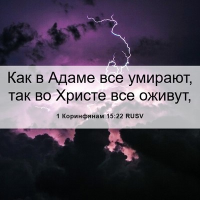 Picture 06 - 1 Коринфянам 15:22 RUSV - Как в Адаме все умирают, - Bible Verse Picture
