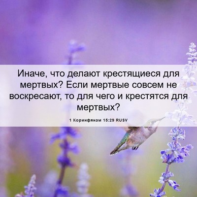 Picture 06 - 1 Коринфянам 15:29 RUSV - Иначе, что делают - Bible Verse Picture