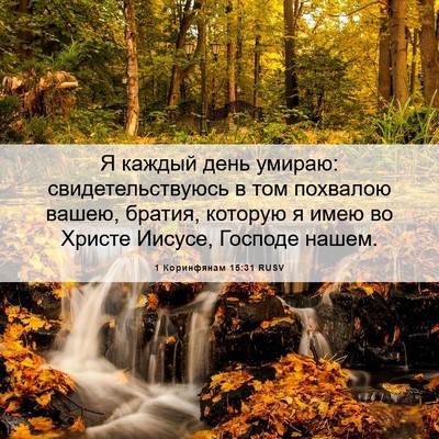 Picture 06 - 1 Коринфянам 15:31 RUSV - Я каждый день умираю: - Bible Verse Picture