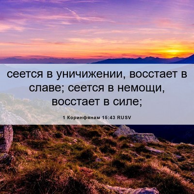 Picture 06 - 1 Коринфянам 15:43 RUSV - сеется в уничижении, - Bible Verse Picture