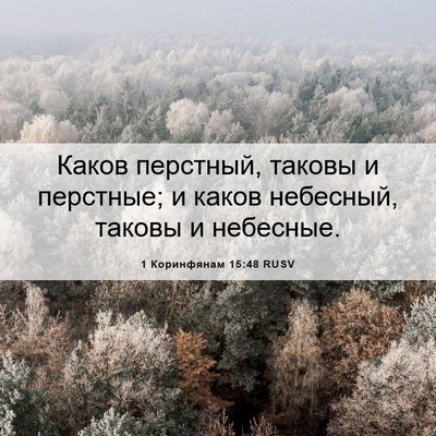 Picture 06 - 1 Коринфянам 15:48 RUSV - Каков перстный, таковы и - Bible Verse Picture