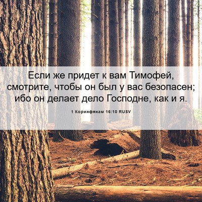 Picture 06 - 1 Коринфянам 16:10 RUSV - Если же придет к вам - Bible Verse Picture