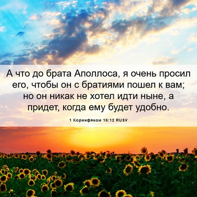 Picture 06 - 1 Коринфянам 16:12 RUSV - А что до брата Аполлоса, я - Bible Verse Picture