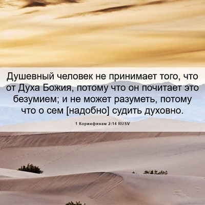 Picture 06 - 1 Коринфянам 2:14 RUSV - Душевный человек не - Bible Verse Picture